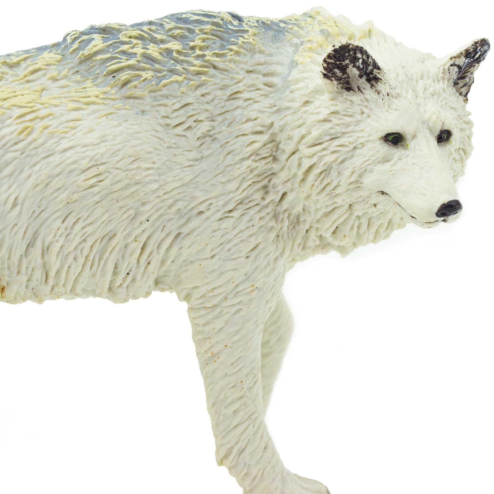 Amazon.co.jp: サファリ レプリカ ホワイトウルフ : おもちゃ